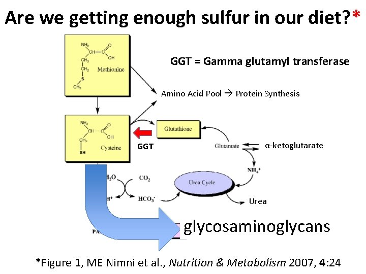 Are we getting enough sulfur in our diet? * GGT = Gamma glutamyl transferase