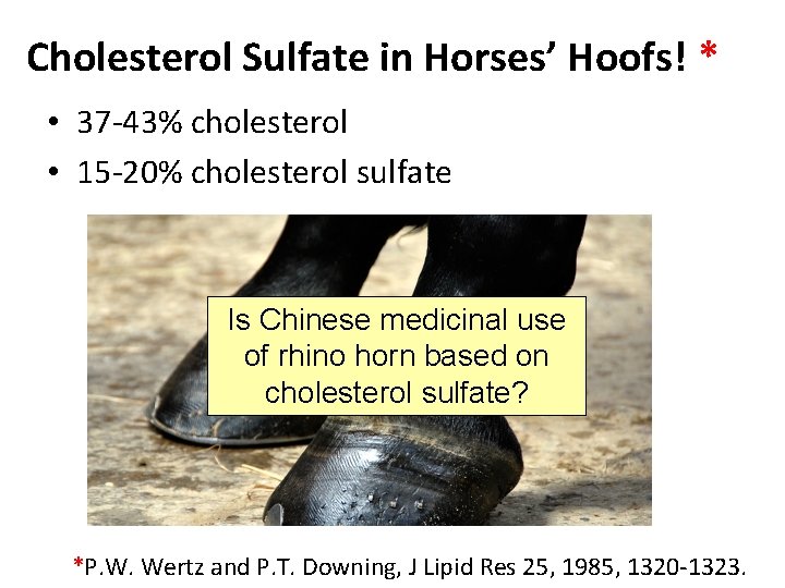 Cholesterol Sulfate in Horses’ Hoofs! * • 37 -43% cholesterol • 15 -20% cholesterol Cholesterol Sulfate in Horses’ Hoofs! * • 37 -43% cholesterol • 15 -20% cholesterol