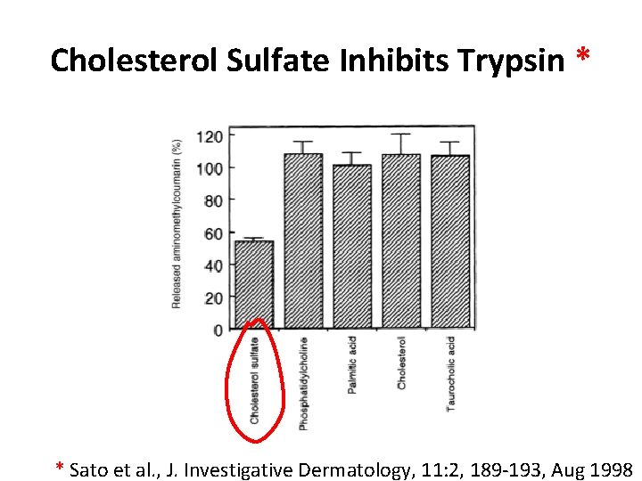 Cholesterol Sulfate Inhibits Trypsin * * Sato et al. , J. Investigative Dermatology, 11: Cholesterol Sulfate Inhibits Trypsin * * Sato et al. , J. Investigative Dermatology, 11: