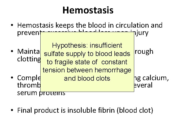 Hemostasis • Hemostasis keeps the blood in circulation and prevents excessive blood loss upon