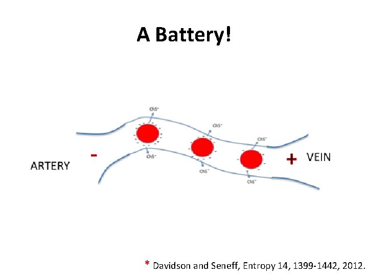 A Battery! * Davidson and Seneff, Entropy 14, 1399 -1442, 2012. 