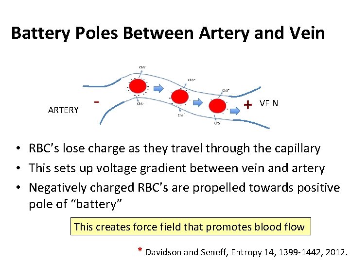 Battery Poles Between Artery and Vein “current” ARTERY - + VEIN • RBC’s lose