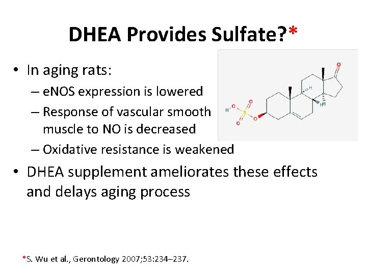 DHEA Provides Sulfate? * • In aging rats: – e. NOS expression is lowered