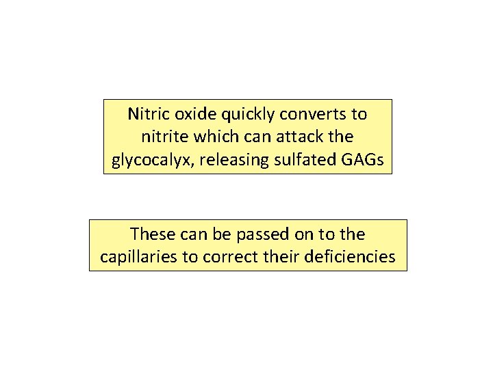 Nitric oxide quickly converts to nitrite which can attack the glycocalyx, releasing sulfated GAGs Nitric oxide quickly converts to nitrite which can attack the glycocalyx, releasing sulfated GAGs