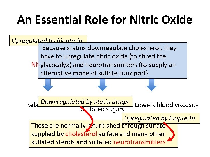 An Essential Role for Nitric Oxide Upregulated by biopterin Because statins downregulate cholesterol, they An Essential Role for Nitric Oxide Upregulated by biopterin Because statins downregulate cholesterol, they