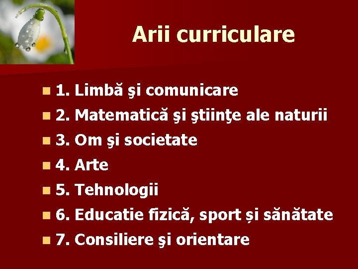 Arii curriculare n 1. Limbă şi comunicare n 2. Matematică şi ştiinţe ale naturii