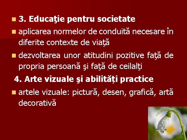 n 3. Educaţie pentru societate n aplicarea normelor de conduită necesare în diferite contexte