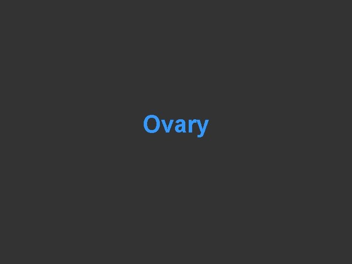 Ovary 