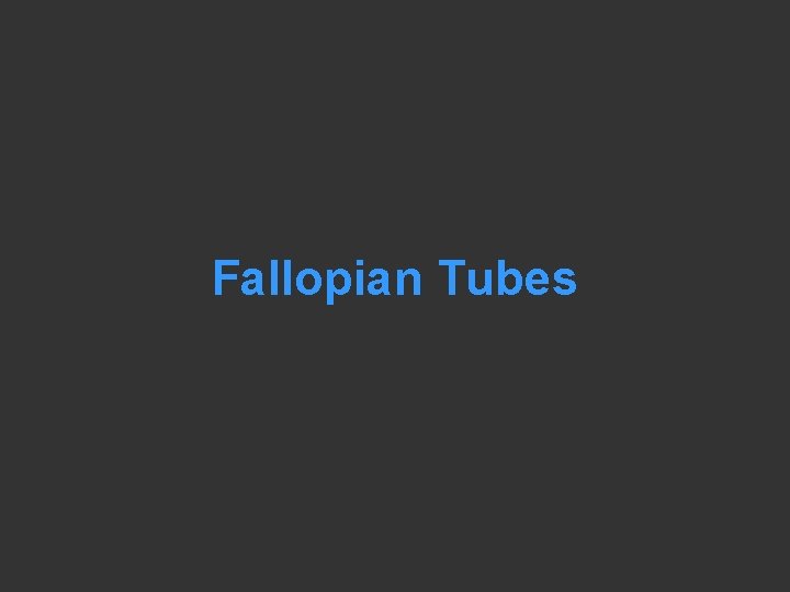 Fallopian Tubes 