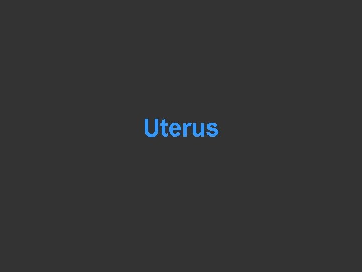 Uterus 