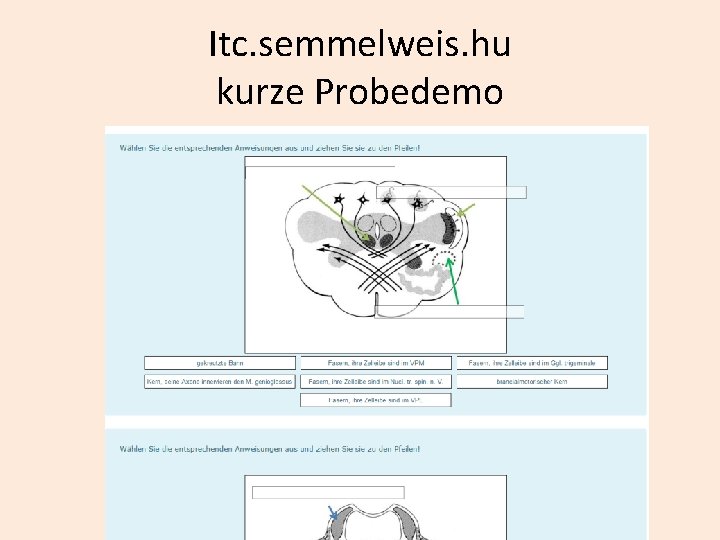 Itc. semmelweis. hu kurze Probedemo 