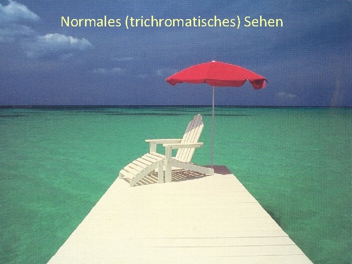 Normales (trichromatisches) Sehen 