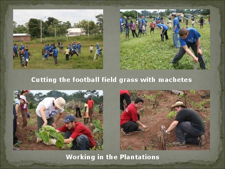 Cutting the football field grass with machetes Working in the Plantations 