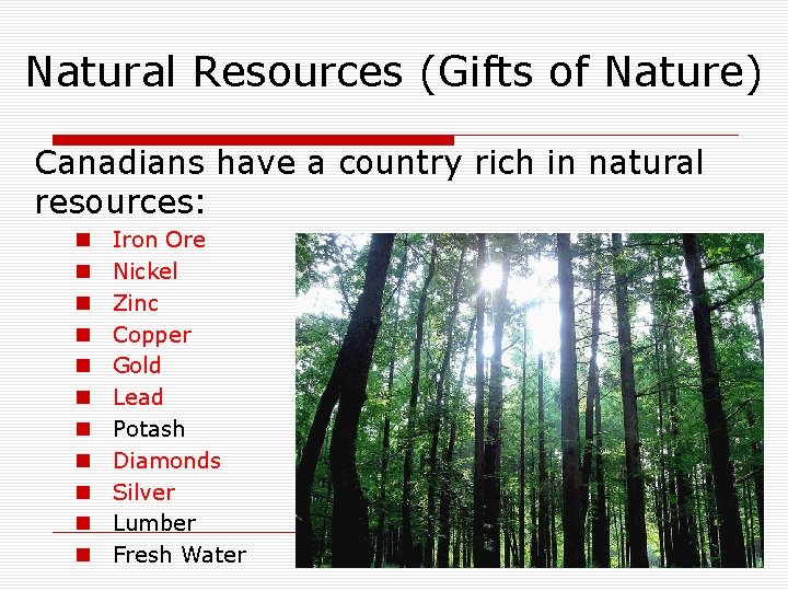 Natural Resources (Gifts of Nature) Canadians have a country rich in natural resources: n