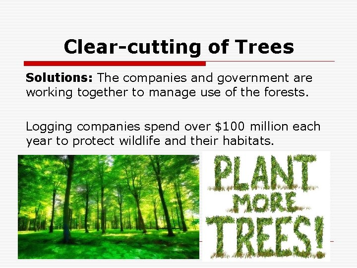 Clear-cutting of Trees Solutions: The companies and government are working together to manage use