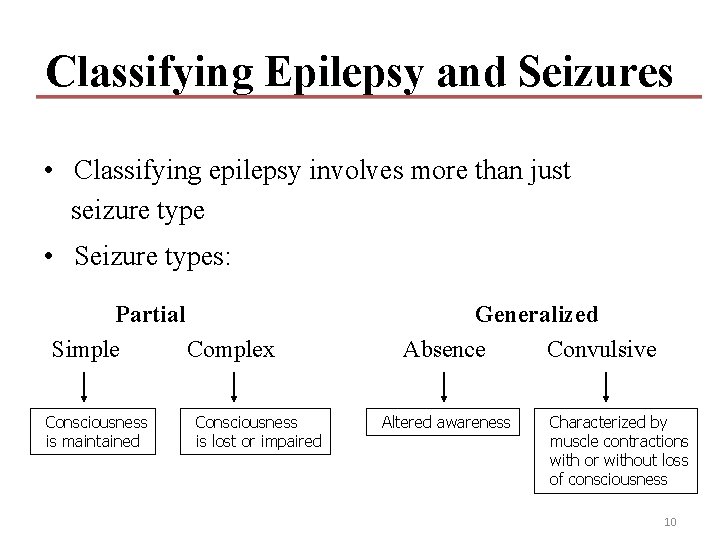 Classifying Epilepsy and Seizures • Classifying epilepsy involves more than just seizure type • Classifying Epilepsy and Seizures • Classifying epilepsy involves more than just seizure type •