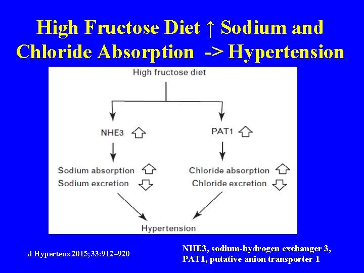 High Fructose Diet ↑ Sodium and Chloride Absorption -> Hypertension J Hypertens 2015; 33: