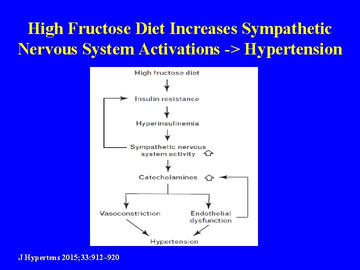 High Fructose Diet Increases Sympathetic Nervous System Activations -> Hypertension J Hypertens 2015; 33: