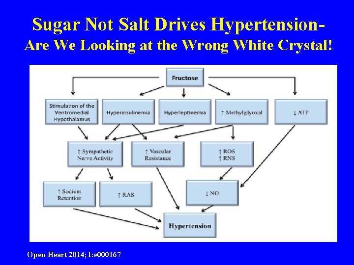 Sugar Not Salt Drives Hypertension. Are We Looking at the Wrong White Crystal! Open