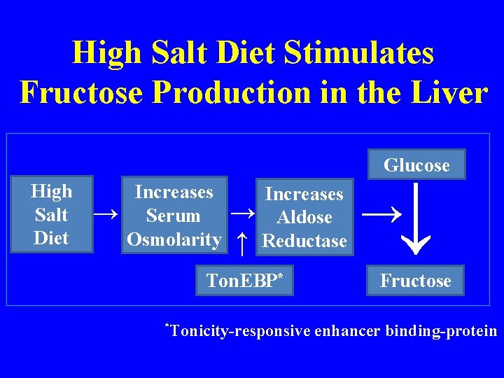 High Salt Diet Stimulates Fructose Production in the Liver Glucose Ton. EBP* *Tonicity-responsive ↑