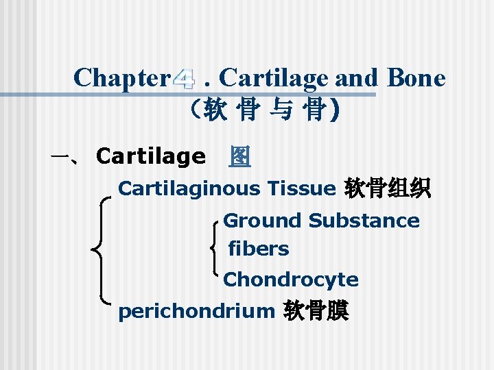 Chapter . Cartilage and Bone （软 骨 与 骨) 一、 Cartilage 图 Cartilaginous Tissue