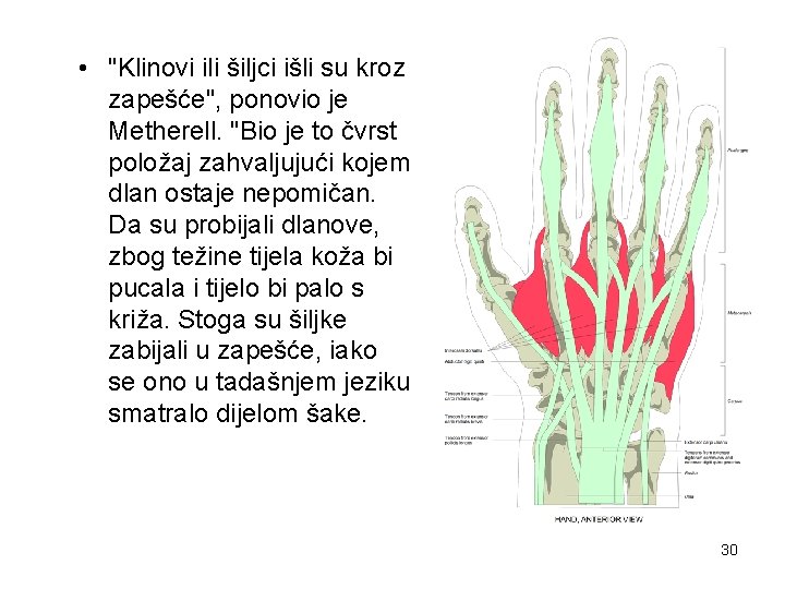  • "Klinovi ili šiljci išli su kroz zapešće", ponovio je Metherell. "Bio je