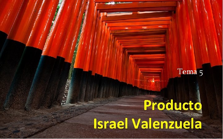 Tema 5 Producto Israel Valenzuela 