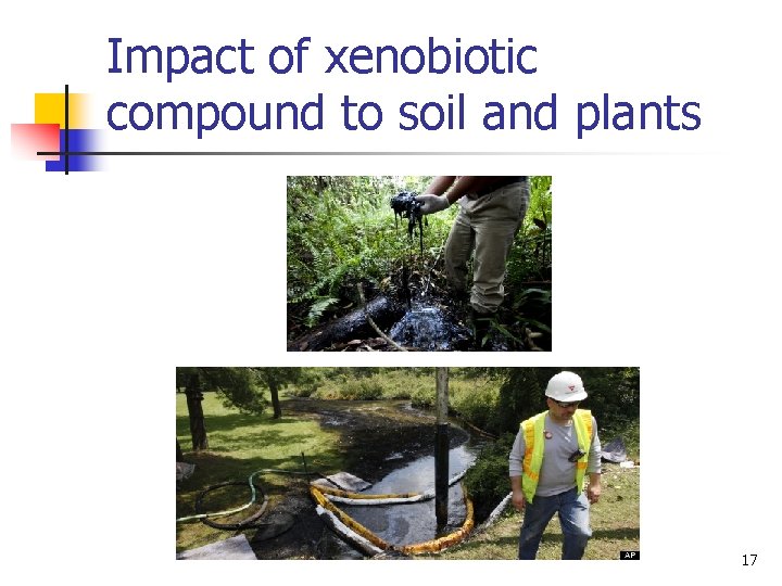 Impact of xenobiotic compound to soil and plants 17 Impact of xenobiotic compound to soil and plants 17