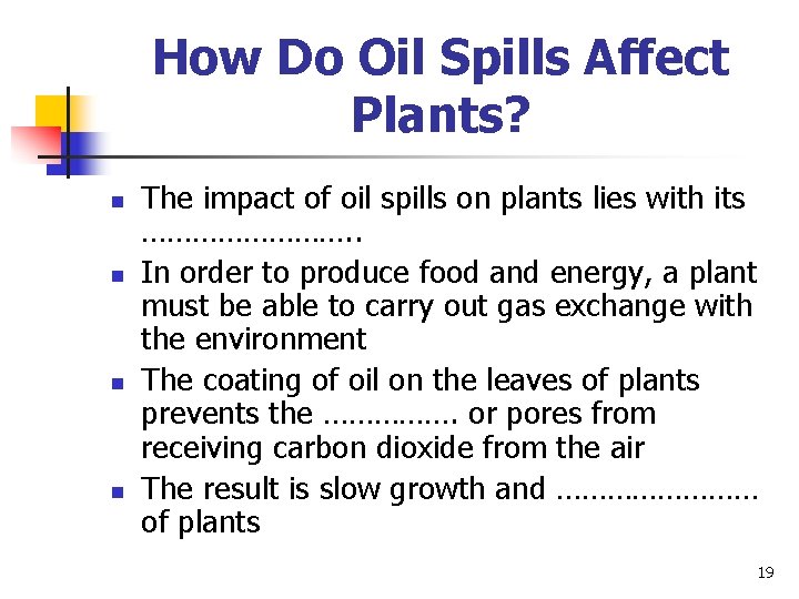How Do Oil Spills Affect Plants? n n The impact of oil spills on How Do Oil Spills Affect Plants? n n The impact of oil spills on