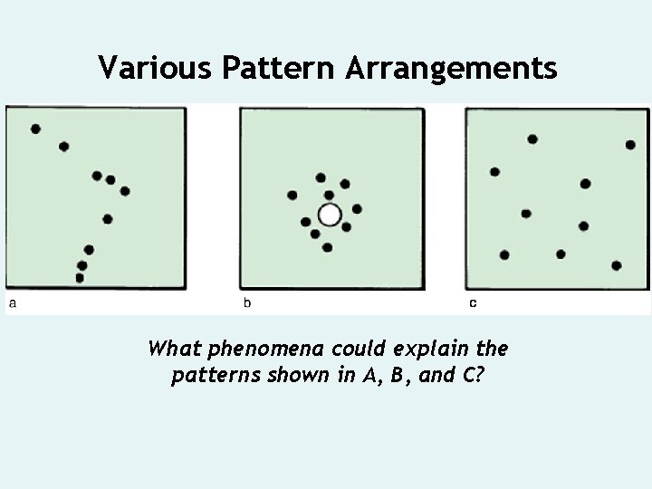 Various Pattern Arrangements What phenomena could explain the patterns shown in A, B, and