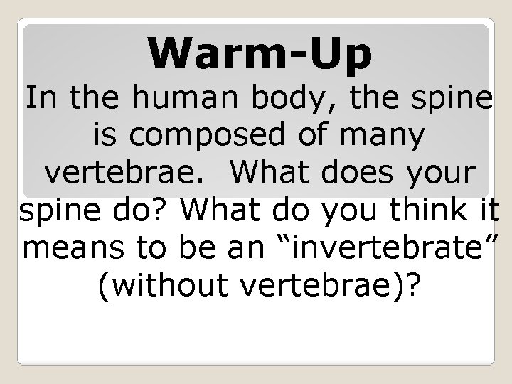 Warm-Up In the human body, the spine is composed of many vertebrae. What does