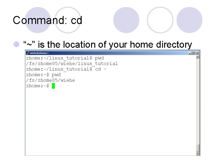 Command: cd l “~” is the location of your home directory Command: cd l “~” is the location of your home directory
