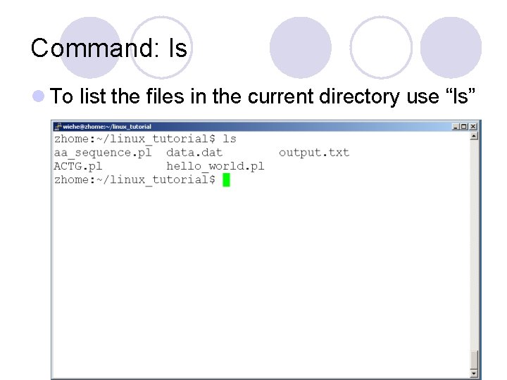 Command: ls l To list the files in the current directory use “ls” Command: ls l To list the files in the current directory use “ls”