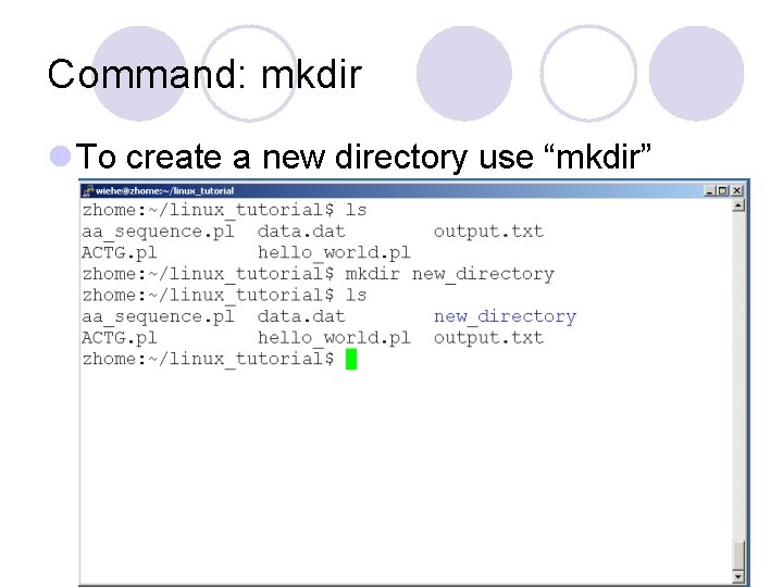 Command: mkdir l To create a new directory use “mkdir” Command: mkdir l To create a new directory use “mkdir”