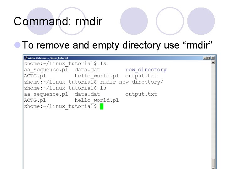 Command: rmdir l To remove and empty directory use “rmdir” Command: rmdir l To remove and empty directory use “rmdir”