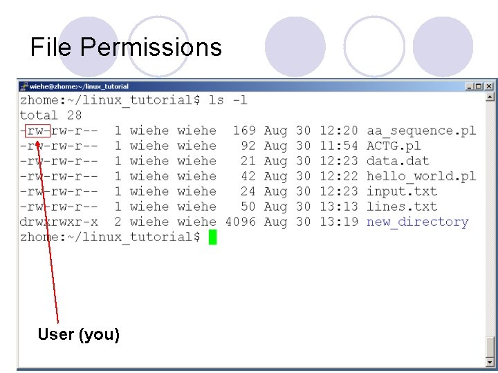 File Permissions User (you) File Permissions User (you)