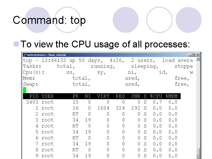 Command: top l To view the CPU usage of all processes: Command: top l To view the CPU usage of all processes: