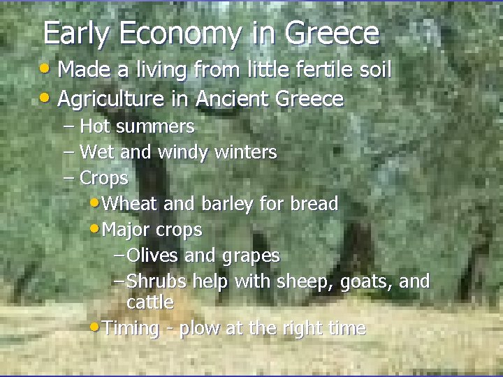 Early Economy in Greece • Made a living from little fertile soil • Agriculture