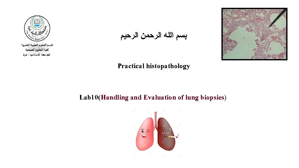  ﺑﺴﻢ ﺍﻟﻠﻪ ﺍﻟﺮﺣﻤﻦ ﺍﻟﺮﺣﻴﻢ Practical histopathology Lab 10(Handling and Evaluation of lung biopsies)