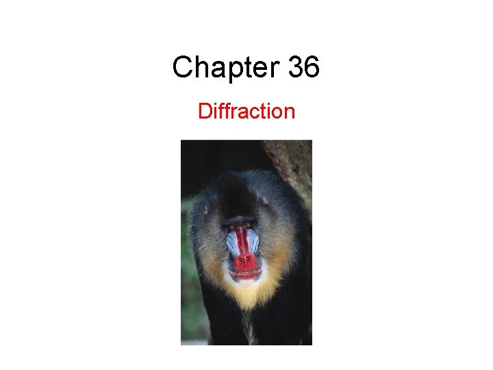 Chapter 36 Diffraction 