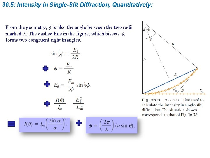 36. 5: Intensity in Single-Slit Diffraction, Quantitatively: From the geometry, f is also the 36. 5: Intensity in Single-Slit Diffraction, Quantitatively: From the geometry, f is also the