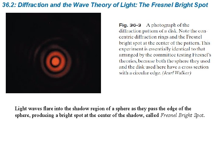 36. 2: Diffraction and the Wave Theory of Light: The Fresnel Bright Spot Light