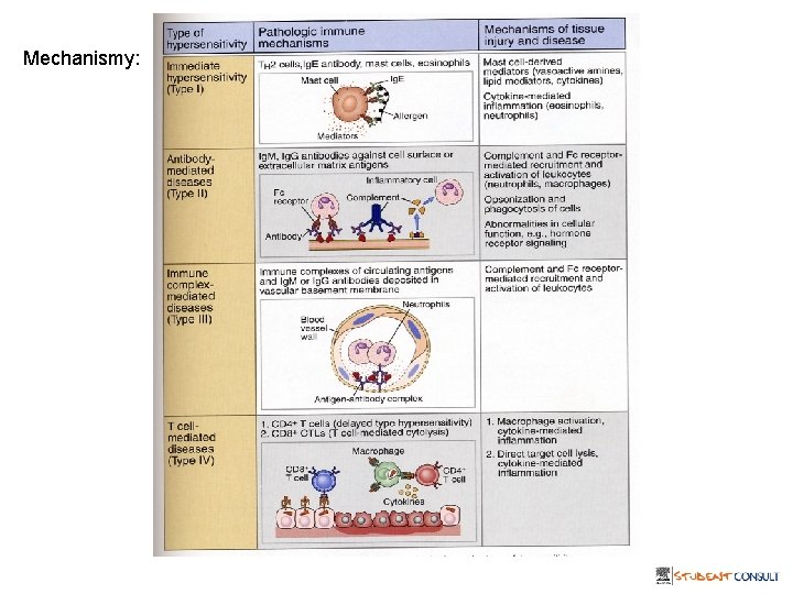 Mechanismy: 