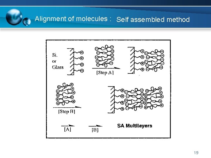 Alignment of molecules : Self assembled method 19 