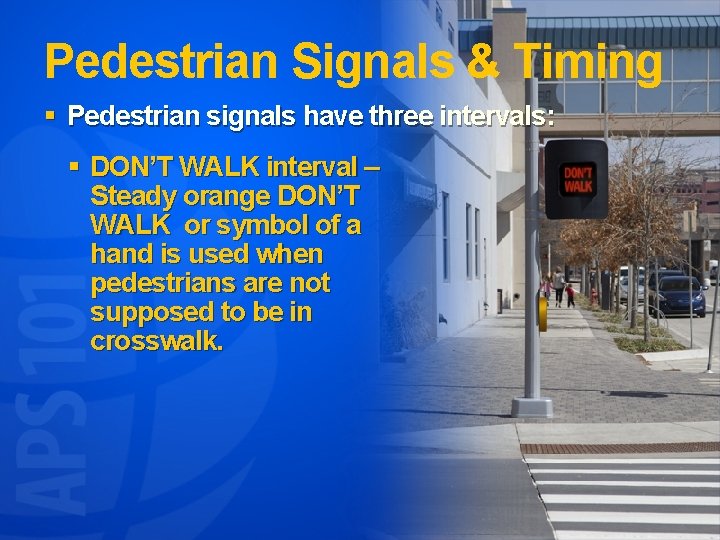 Pedestrian Signals & Timing § Pedestrian signals have three intervals: § DON’T WALK interval