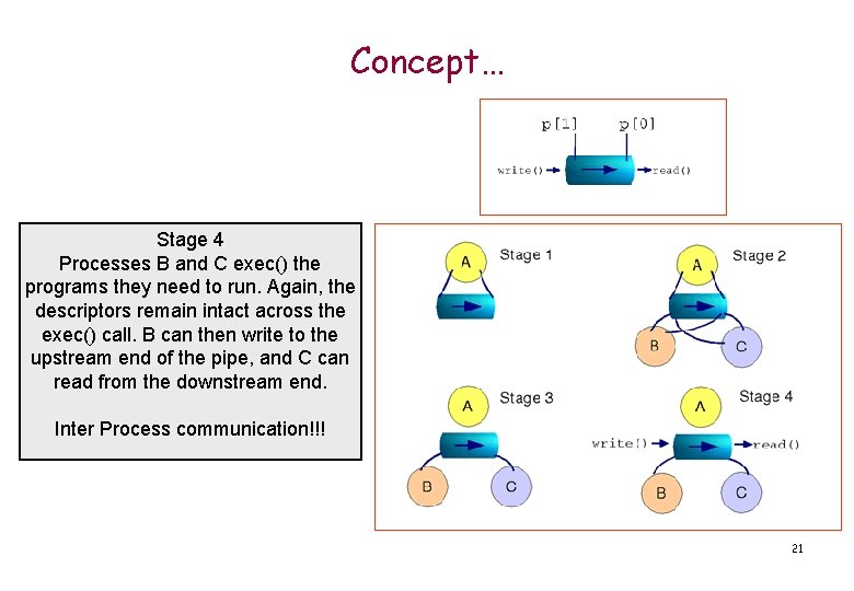 Concept… Stage 4 Processes B and C exec() the programs they need to run.