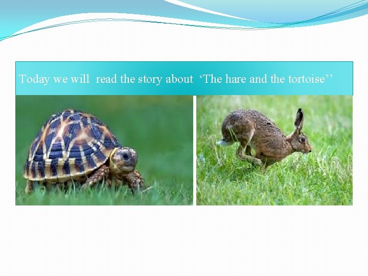 Today we will read the story about ‘The hare and the tortoise’’ 