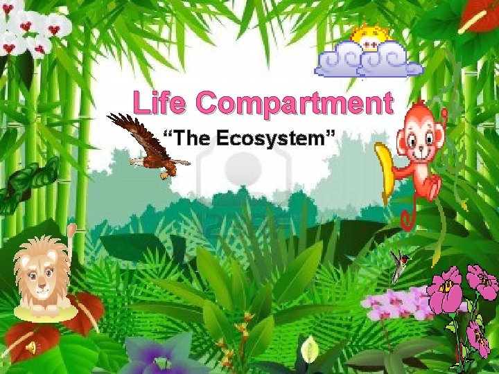 Life Compartment “The Ecosystem” 