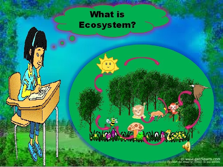 What is Ecosystem? 