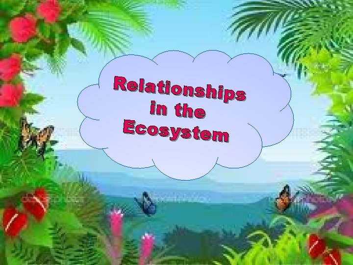 Relationsh ips in the Ecosystem 